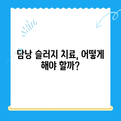 강아지 초음파 검사 후 담낭 슬러지 치료 경험| 저희 아이의 이야기 | 담낭 슬러지, 강아지 건강, 초음파 검사, 치료 후기