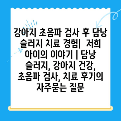 강아지 초음파 검사 후 담낭 슬러지 치료 경험| 저희 아이의 이야기 | 담낭 슬러지, 강아지 건강, 초음파 검사, 치료 후기