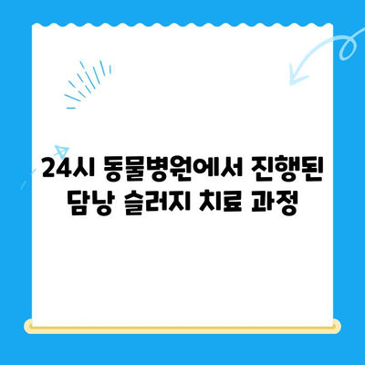 강아지 초음파 검사 후 24시 동물병원에서 담낭 슬러지 치료| 회복실 관찰기 | 담낭 슬러지, 강아지 질병, 24시 동물병원