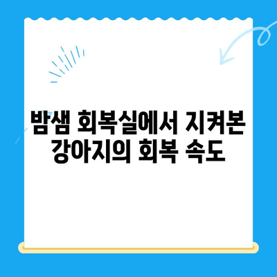 강아지 초음파 검사 후 24시 동물병원에서 담낭 슬러지 치료| 회복실 관찰기 | 담낭 슬러지, 강아지 질병, 24시 동물병원