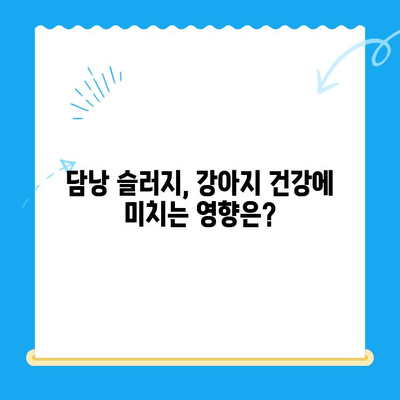 강아지 초음파 검사 후 24시 동물병원에서 담낭 슬러지 치료| 회복실 관찰기 | 담낭 슬러지, 강아지 질병, 24시 동물병원