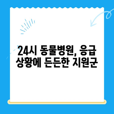 강아지 초음파 검사 후 24시 동물병원에서 담낭 슬러지 치료| 회복실 관찰기 | 담낭 슬러지, 강아지 질병, 24시 동물병원