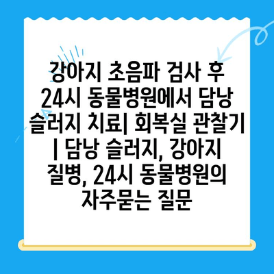 강아지 초음파 검사 후 24시 동물병원에서 담낭 슬러지 치료| 회복실 관찰기 | 담낭 슬러지, 강아지 질병, 24시 동물병원