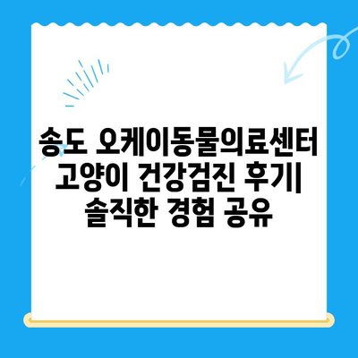 송도 24시 동물병원 오케이동물의료센터| 고양이 건강검진 후기 | 솔직 후기, 검진 과정, 비용 정보