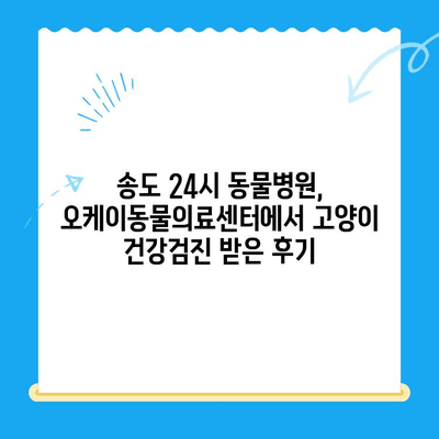 송도 24시 동물병원 오케이동물의료센터| 고양이 건강검진 후기 | 솔직 후기, 검진 과정, 비용 정보