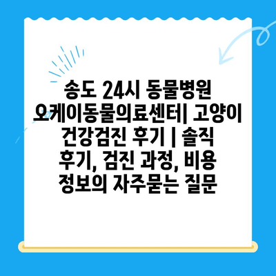 송도 24시 동물병원 오케이동물의료센터| 고양이 건강검진 후기 | 솔직 후기, 검진 과정, 비용 정보