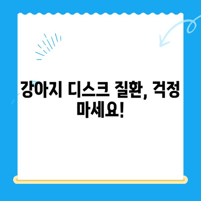 강아지 디스크 질환, 대구 24시 전문 동물병원에서 안전하게! | 범어 동물의료센터, 디스크 검진, 24시 진료