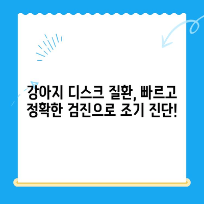 강아지 디스크 질환, 대구 24시 전문 동물병원에서 안전하게! | 범어 동물의료센터, 디스크 검진, 24시 진료