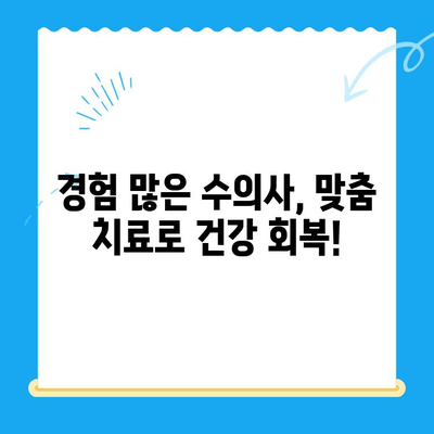 강아지 디스크 질환, 대구 24시 전문 동물병원에서 안전하게! | 범어 동물의료센터, 디스크 검진, 24시 진료