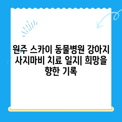 원주 스카이 동물병원 강아지 사지마비 치료 일지| 희망을 향한 기록 | 강아지, 사지마비, 재활, 치료, 원주