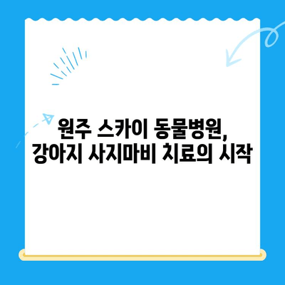 원주 스카이 동물병원 강아지 사지마비 치료 일지| 희망을 향한 기록 | 강아지, 사지마비, 재활, 치료, 원주