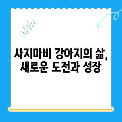 원주 스카이 동물병원 강아지 사지마비 치료 일지| 희망을 향한 기록 | 강아지, 사지마비, 재활, 치료, 원주