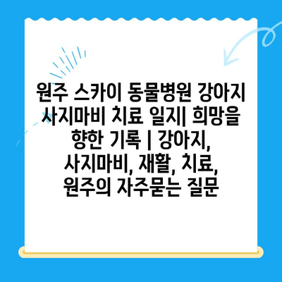 원주 스카이 동물병원 강아지 사지마비 치료 일지| 희망을 향한 기록 | 강아지, 사지마비, 재활, 치료, 원주