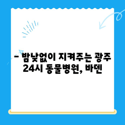 광주 24시 동물병원, 바덴 동물메디컬센터 방문 후기| 진료부터 서비스까지 상세 후기 | 광주 동물병원, 24시 응급진료, 반려동물