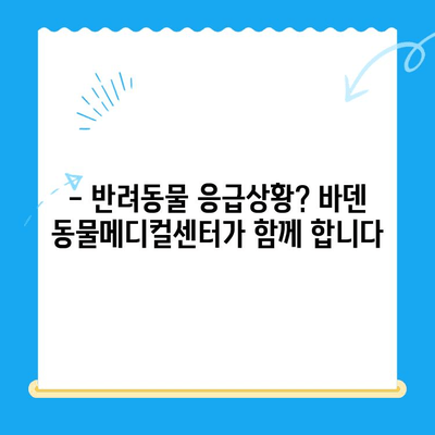 광주 24시 동물병원, 바덴 동물메디컬센터 방문 후기| 진료부터 서비스까지 상세 후기 | 광주 동물병원, 24시 응급진료, 반려동물