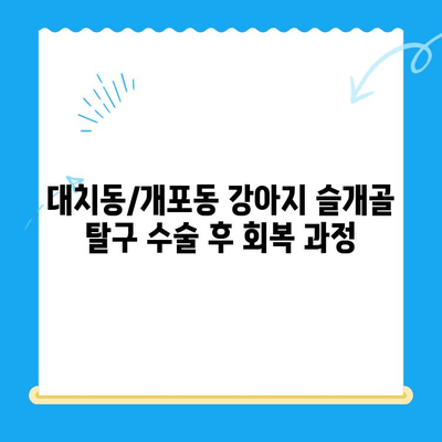 대치동/개포동 강아지 슬개골 탈구 수술 후 회복| 24시 동물병원 회복실 생활 가이드 | 슬개골 탈구, 수술 후 관리, 24시 동물병원, 강아지 회복