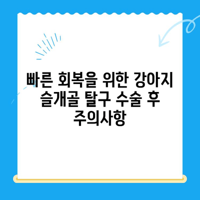 대치동/개포동 강아지 슬개골 탈구 수술 후 회복| 24시 동물병원 회복실 생활 가이드 | 슬개골 탈구, 수술 후 관리, 24시 동물병원, 강아지 회복