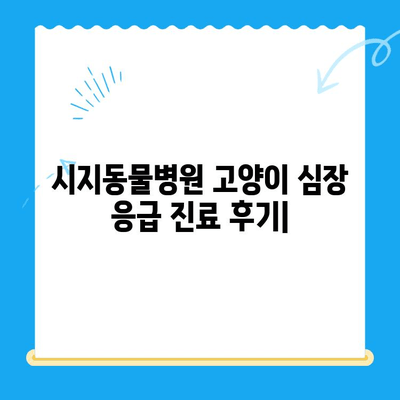 시지동물병원 고양이 심장 응급 진료 후기| 실제 경험담 & 상세 정보 | 시지, 동물병원, 심장병, 고양이, 응급, 후기