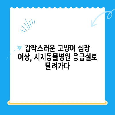 시지동물병원 고양이 심장 응급 진료 후기| 실제 경험담 & 상세 정보 | 시지, 동물병원, 심장병, 고양이, 응급, 후기