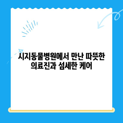 시지동물병원 고양이 심장 응급 진료 후기| 실제 경험담 & 상세 정보 | 시지, 동물병원, 심장병, 고양이, 응급, 후기