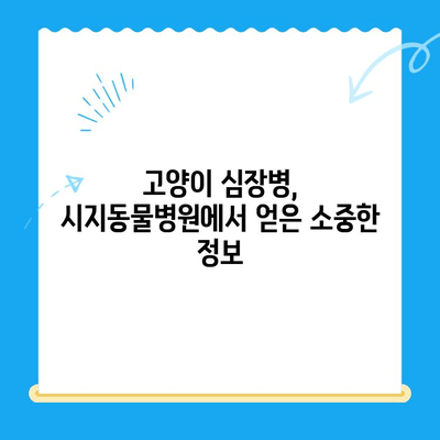 시지동물병원 고양이 심장 응급 진료 후기| 실제 경험담 & 상세 정보 | 시지, 동물병원, 심장병, 고양이, 응급, 후기