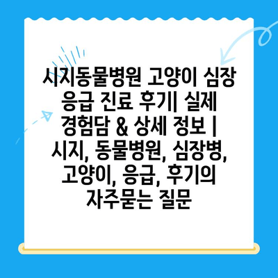시지동물병원 고양이 심장 응급 진료 후기| 실제 경험담 & 상세 정보 | 시지, 동물병원, 심장병, 고양이, 응급, 후기