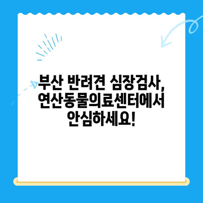 부산 반려견 심장검사| 24시 연산동물의료센터 | 반려동물 건강, 심장 질환, 진단, 치료, 24시간 응급