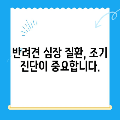 부산 반려견 심장검사| 24시 연산동물의료센터 | 반려동물 건강, 심장 질환, 진단, 치료, 24시간 응급