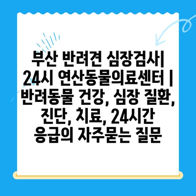부산 반려견 심장검사| 24시 연산동물의료센터 | 반려동물 건강, 심장 질환, 진단, 치료, 24시간 응급