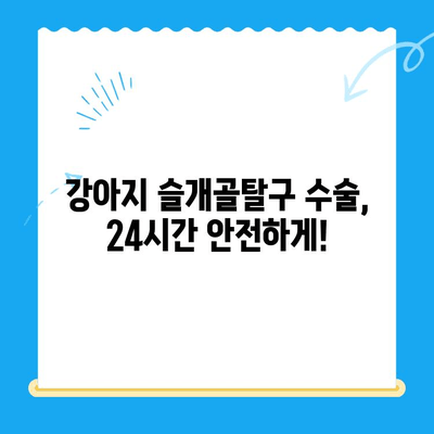 24시간 수동물병원의 강아지 슬개골탈구 수술| 진행 과정과 주의사항 | 슬개골탈구, 수술, 24시간 응급, 강아지, 동물병원