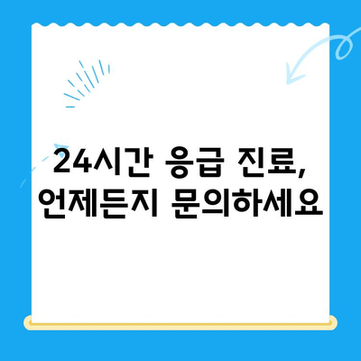 24시간 수동물병원의 강아지 슬개골탈구 수술| 진행 과정과 주의사항 | 슬개골탈구, 수술, 24시간 응급, 강아지, 동물병원