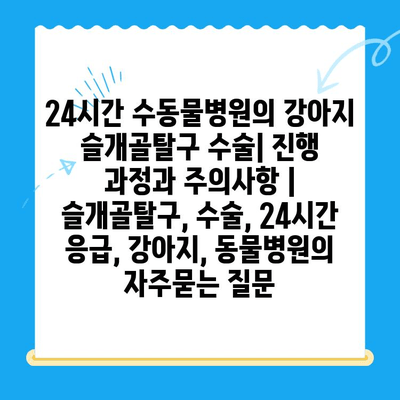 24시간 수동물병원의 강아지 슬개골탈구 수술| 진행 과정과 주의사항 | 슬개골탈구, 수술, 24시간 응급, 강아지, 동물병원