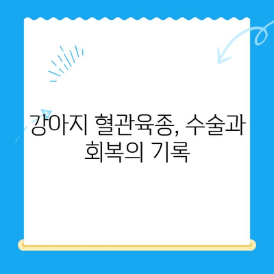 강아지 혈관육종 의심, 수술 경험담| 진단부터 회복까지 | 혈관육종, 강아지 수술, 암, 경험 공유, 치료