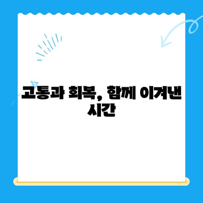 강아지 혈관육종 의심, 수술 경험담| 진단부터 회복까지 | 혈관육종, 강아지 수술, 암, 경험 공유, 치료