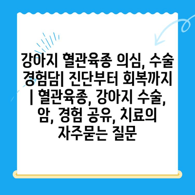 강아지 혈관육종 의심, 수술 경험담| 진단부터 회복까지 | 혈관육종, 강아지 수술, 암, 경험 공유, 치료