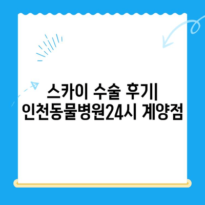 스카이 수술 후기| 인천동물병원24시 계양점 | 반려동물, 수술 후기, 병원 추천
