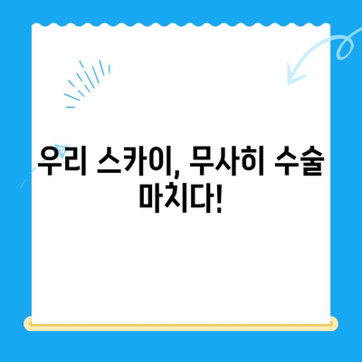 스카이 수술 후기| 인천동물병원24시 계양점 | 반려동물, 수술 후기, 병원 추천