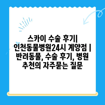 스카이 수술 후기| 인천동물병원24시 계양점 | 반려동물, 수술 후기, 병원 추천