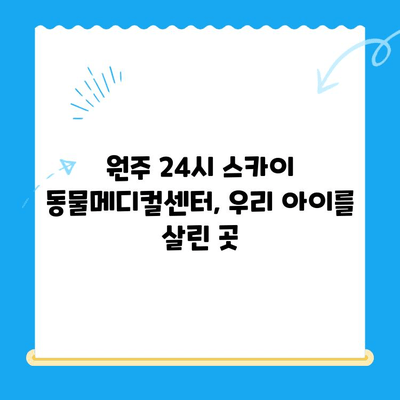 강아지 사지마비 & 갈색뇨 치료 경험담| 원주 24시 스카이 동물메디컬센터에서 찾은 희망 | 강아지 질병, 동물병원 추천, 치료 후기