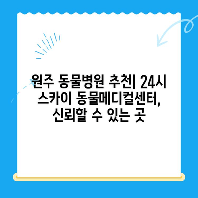 강아지 사지마비 & 갈색뇨 치료 경험담| 원주 24시 스카이 동물메디컬센터에서 찾은 희망 | 강아지 질병, 동물병원 추천, 치료 후기