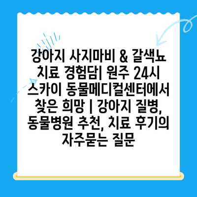 강아지 사지마비 & 갈색뇨 치료 경험담| 원주 24시 스카이 동물메디컬센터에서 찾은 희망 | 강아지 질병, 동물병원 추천, 치료 후기