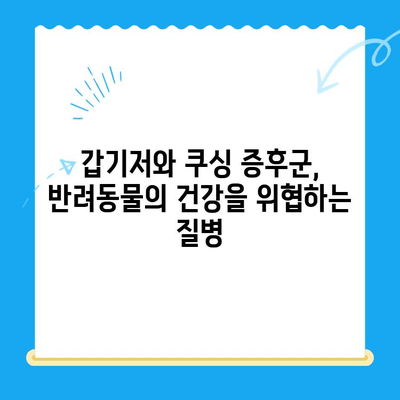 갑기저와 쿠싱 증후군, 24시간 동물병원이 답입니다! | 응급 상황, 치료, 동물병원 찾기