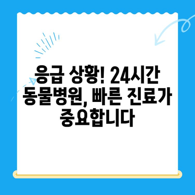 갑기저와 쿠싱 증후군, 24시간 동물병원이 답입니다! | 응급 상황, 치료, 동물병원 찾기