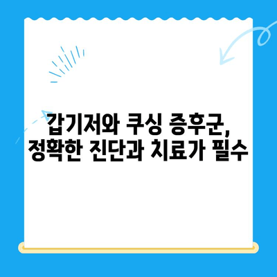 갑기저와 쿠싱 증후군, 24시간 동물병원이 답입니다! | 응급 상황, 치료, 동물병원 찾기