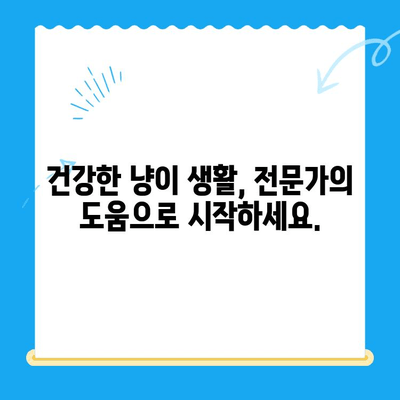 고양이 건강 체크 완벽 가이드| 24시간 동물병원 검진 & 집에서 할 수 있는 7가지 체크리스트 | 고양이 건강, 건강검진, 동물병원, 집에서 체크