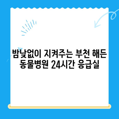 부천 해든 동물병원 24시간 응급실 안내| 긴급 상황에 대처하는 완벽 가이드 | 부천, 동물병원, 24시간, 응급, 진료