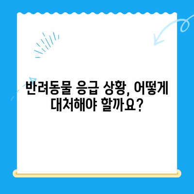 부천 해든 동물병원 24시간 응급실 안내| 긴급 상황에 대처하는 완벽 가이드 | 부천, 동물병원, 24시간, 응급, 진료