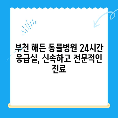 부천 해든 동물병원 24시간 응급실 안내| 긴급 상황에 대처하는 완벽 가이드 | 부천, 동물병원, 24시간, 응급, 진료