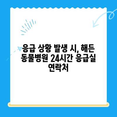 부천 해든 동물병원 24시간 응급실 안내| 긴급 상황에 대처하는 완벽 가이드 | 부천, 동물병원, 24시간, 응급, 진료