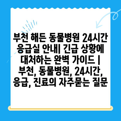 부천 해든 동물병원 24시간 응급실 안내| 긴급 상황에 대처하는 완벽 가이드 | 부천, 동물병원, 24시간, 응급, 진료